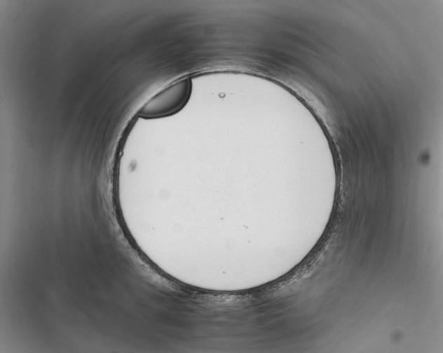 X0000116820949201001151202