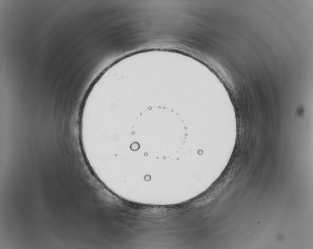 X0000116820950201001151202