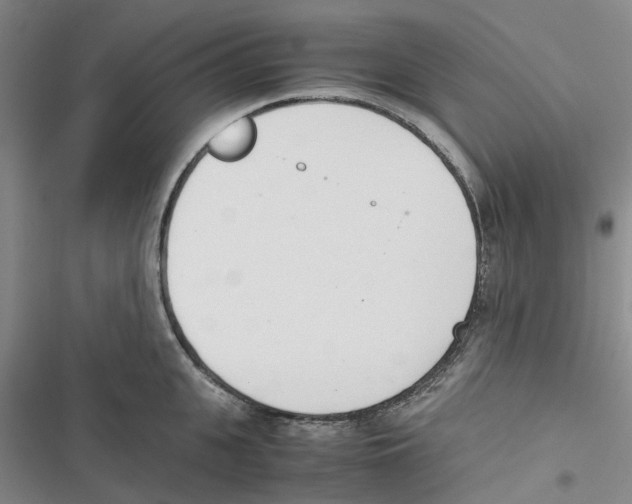 X0000116820951201001151202