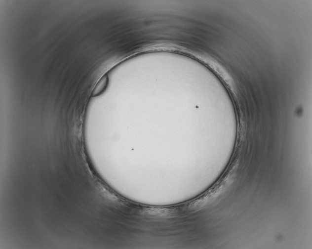 X0000116820953201001151202