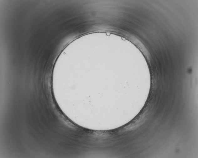 X0000116820954201001151202