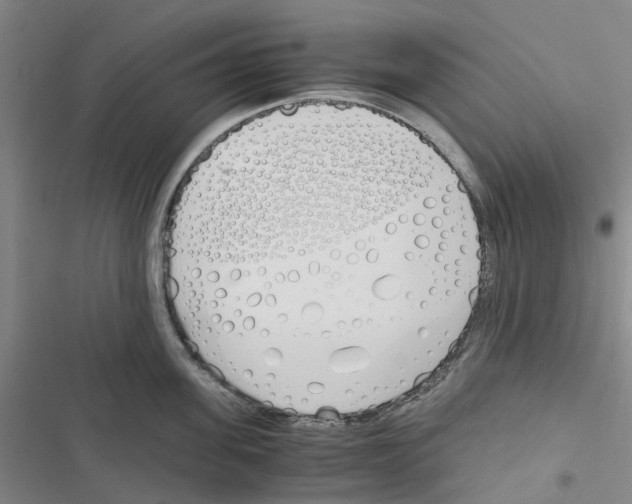 X0000116820955201001151202