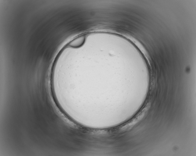 X0000116820957201001151202