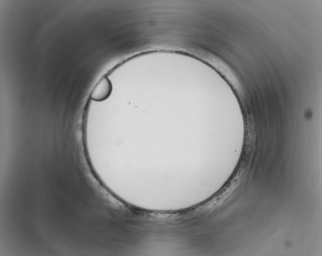 X0000116820958201001151202