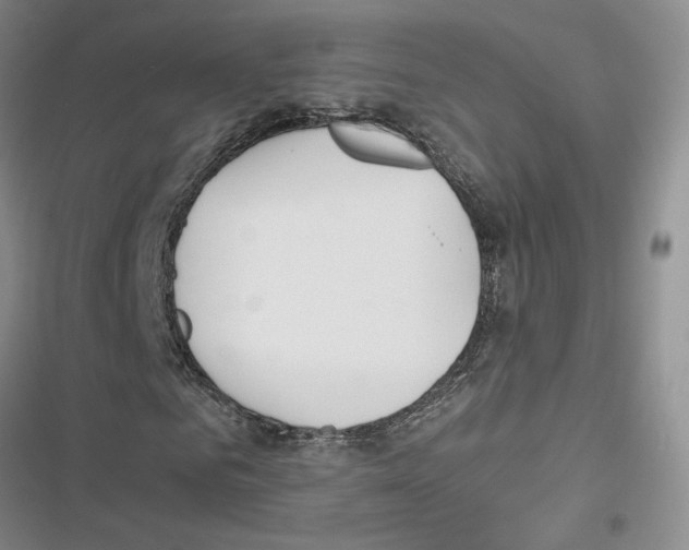 X0000116820961201001151202