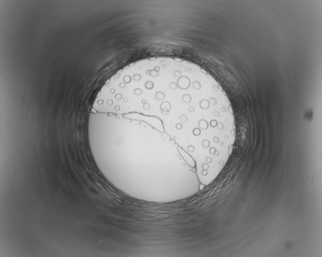 X0000116820964201001151201