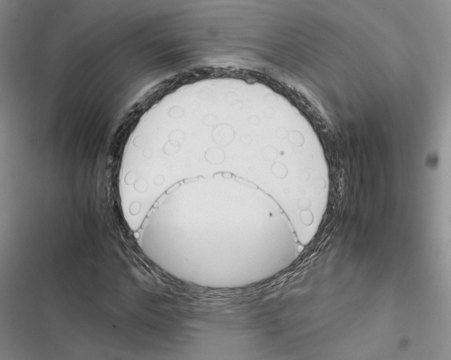 X0000116820968201001151201