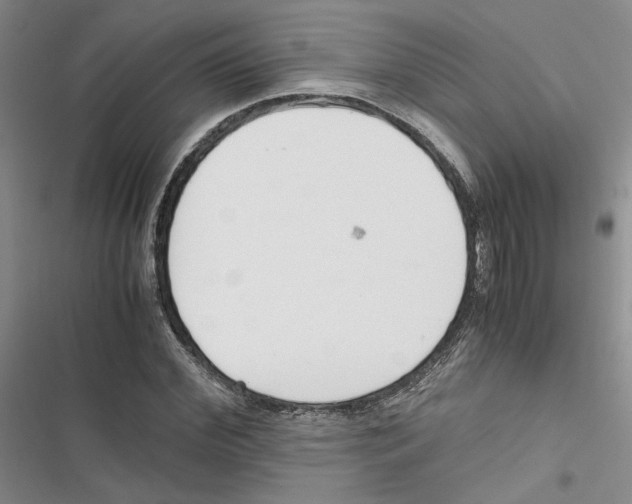 X0000116820972201001151201