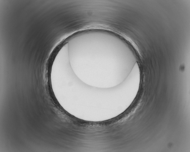 X0000116820973201001151201