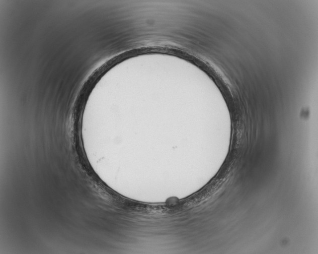 X0000116820975201001151201