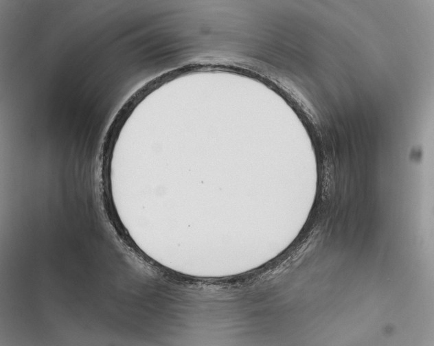 X0000116820976201001151201