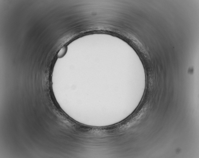 X0000116820977201001151201