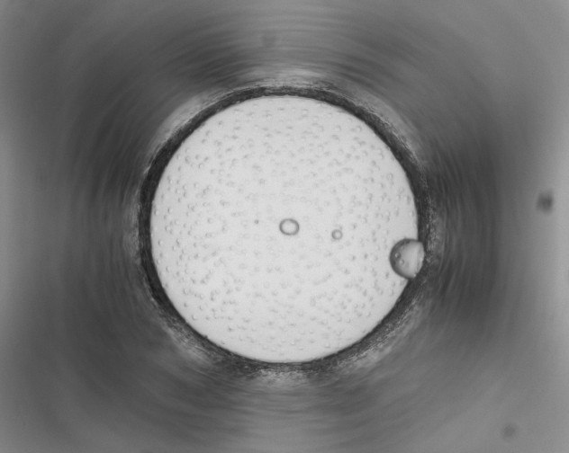 X0000116820978201001151201