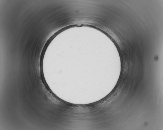 X0000116820980201001151201