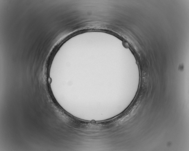 X0000116820981201001151201