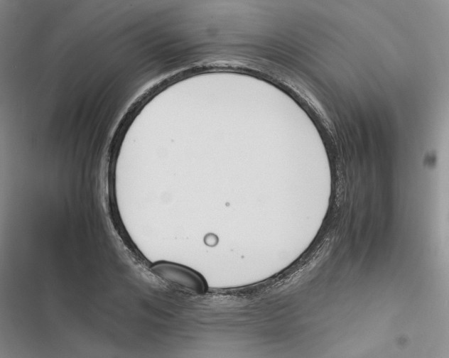 X0000116820984201001151201