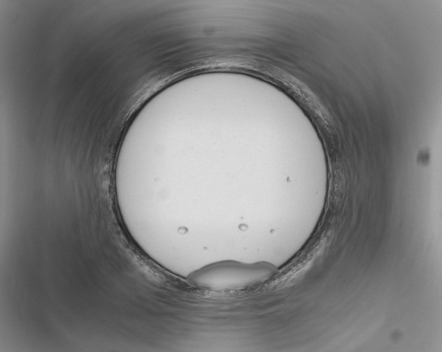 X0000116820985201001151201