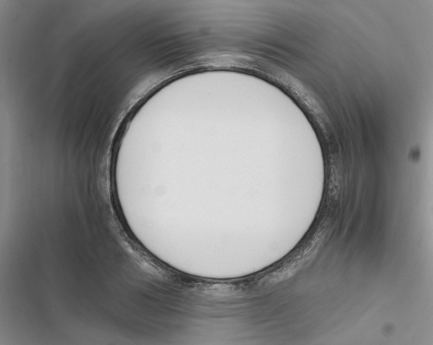 X0000116820986201001151201