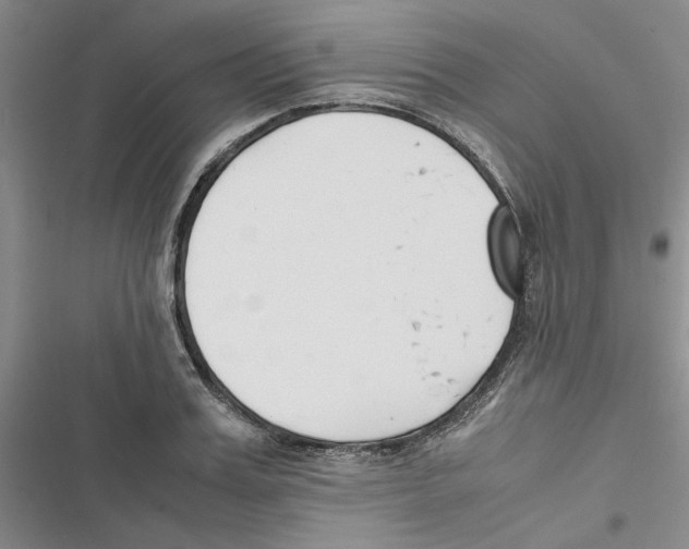 X0000116820987201001151201