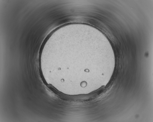 X0000116820988201001151201