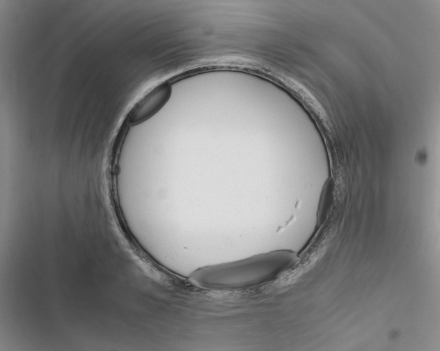 X0000116820989201001151201