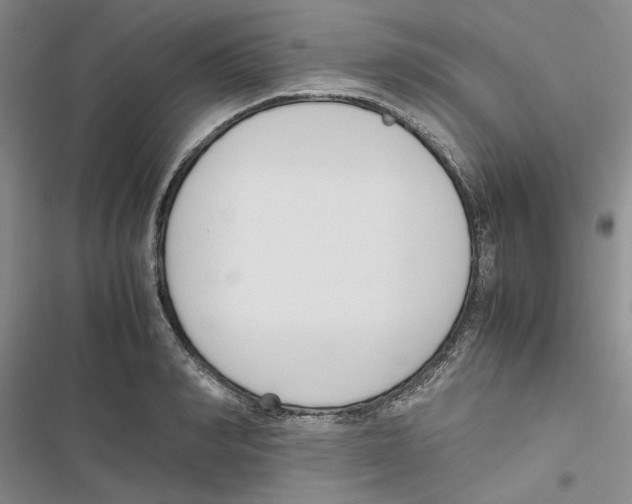 X0000116820990201001151201