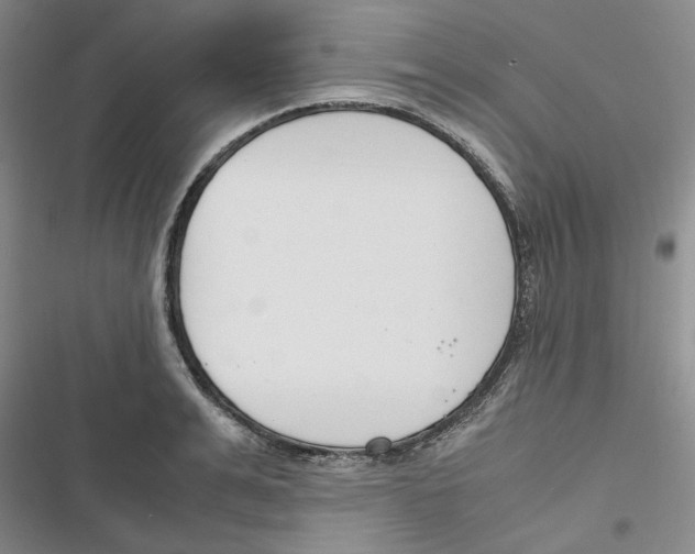 X0000116820991201001151201