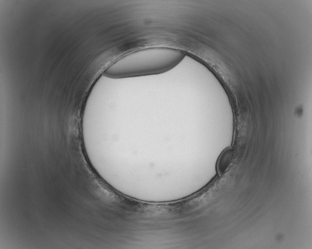 X0000116820993201001151201