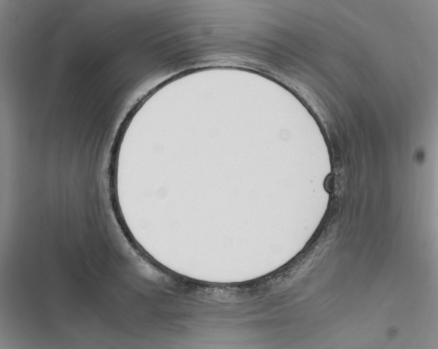 X0000116820995201001151201