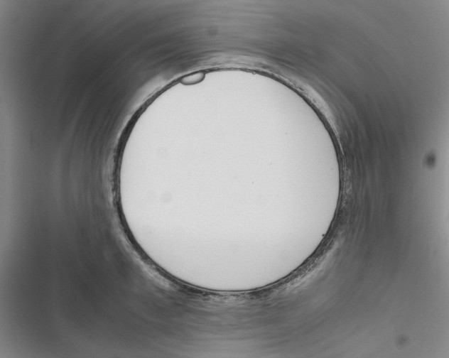 X0000116820997201001151201