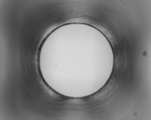 X0000116820998201001151201