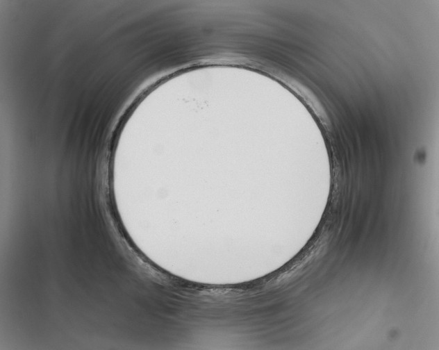 X0000116821000201001151201