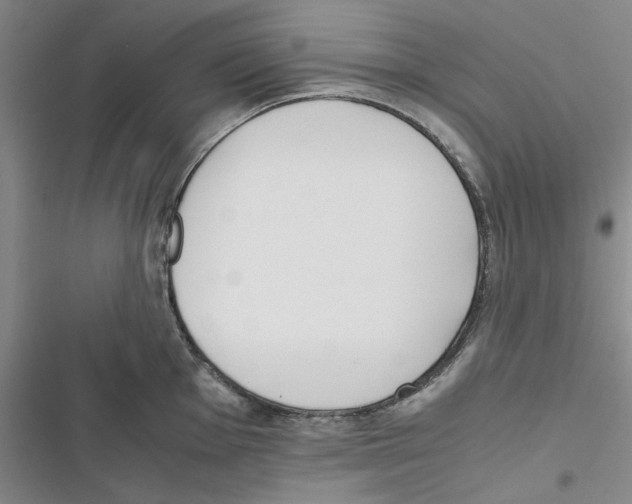 X0000116821001201001151201