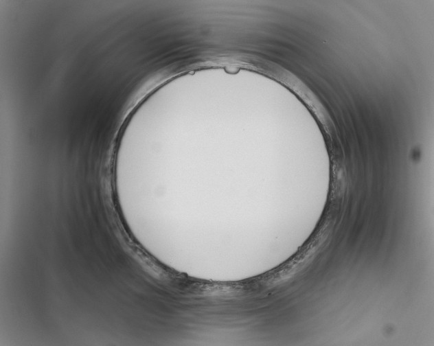 X0000116821002201001151201