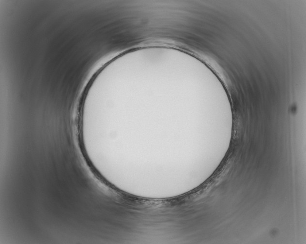 X0000116821003201001151201