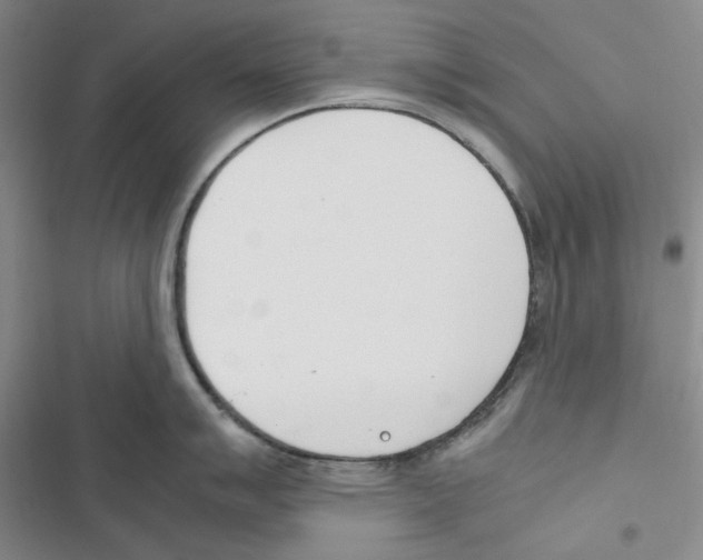 X0000116821007201001151201