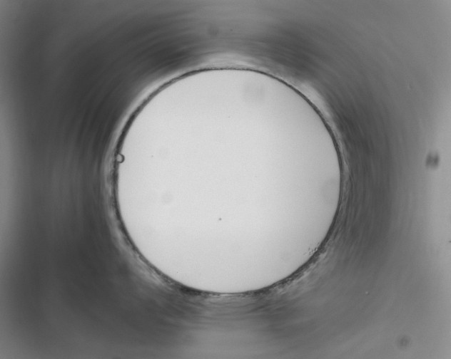 X0000116821008201001151201