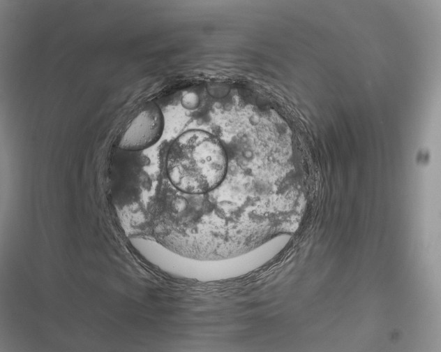 X0000116821009201001151200