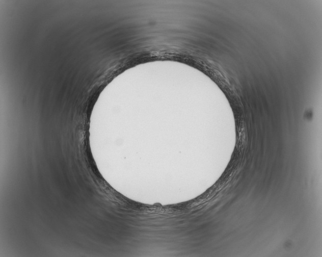 X0000116821012201001151200