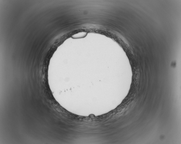 X0000116821016201001151200