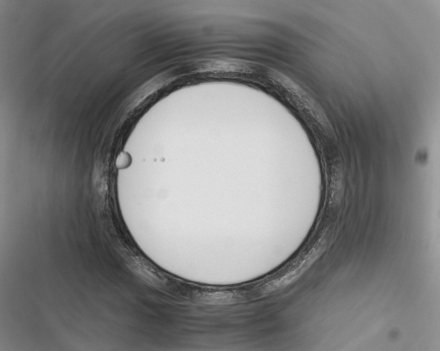 X0000116821017201001151200