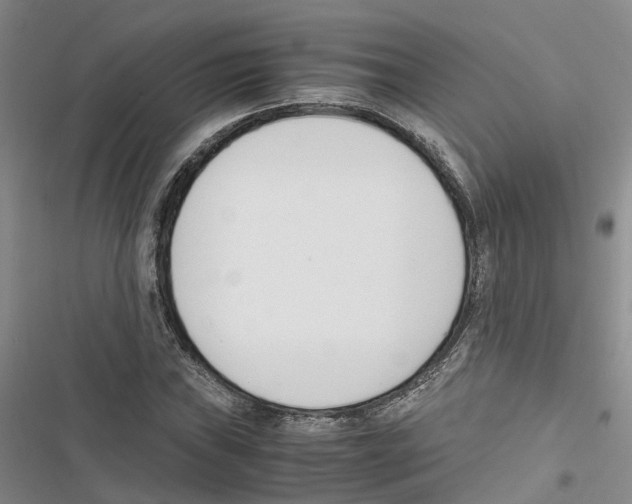 X0000116821019201001151200