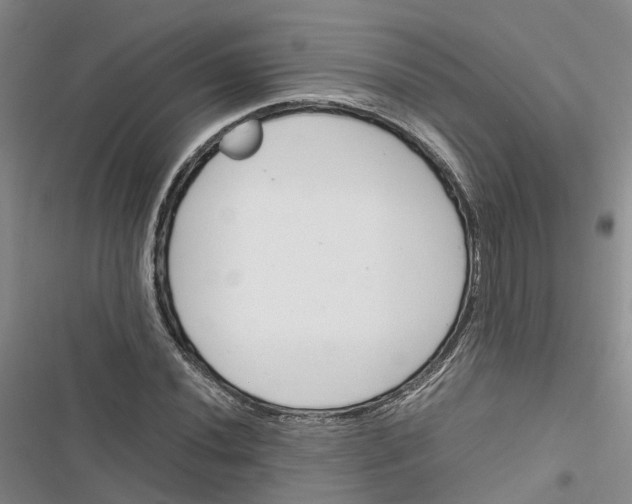 X0000116821020201001151200