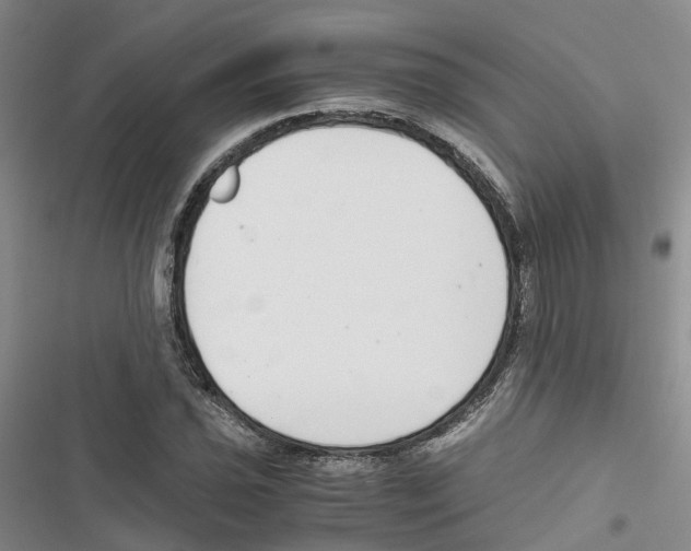 X0000116821021201001151200