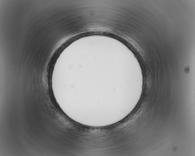 X0000116821022201001151200