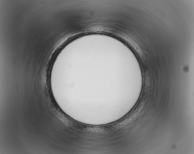 X0000116821023201001151200