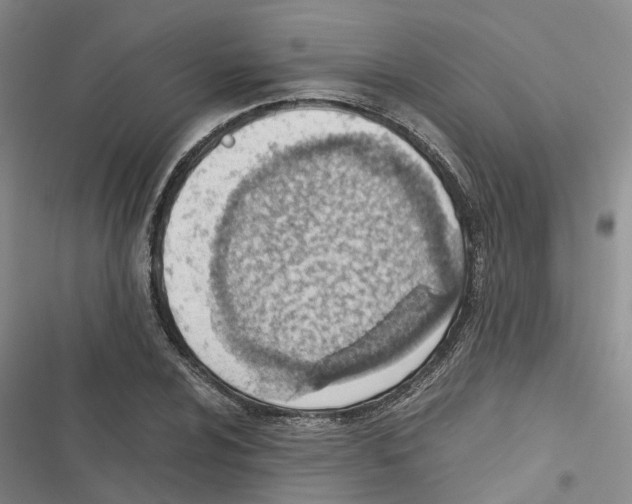 X0000116821024201001151200