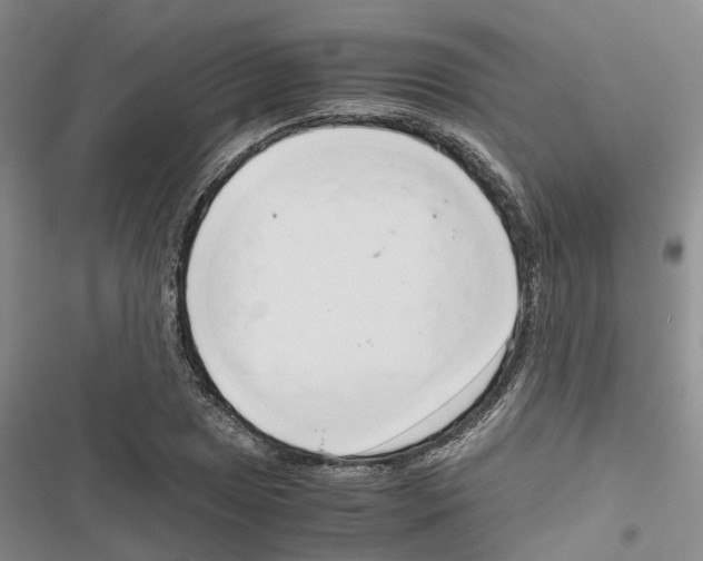 X0000116821025201001151200