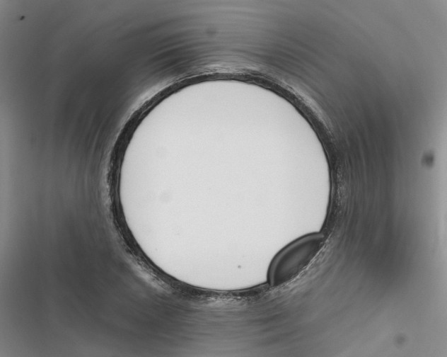 X0000116821026201001151200