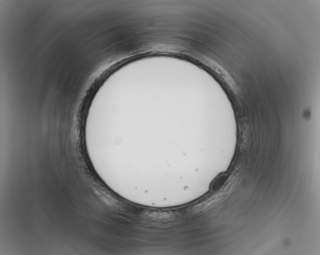 X0000116821027201001151200